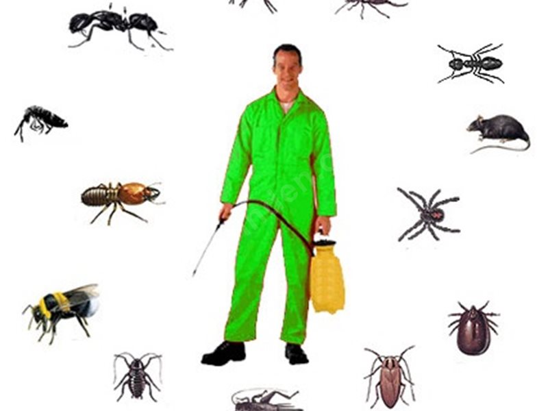 Güney Böcek İlaçlama